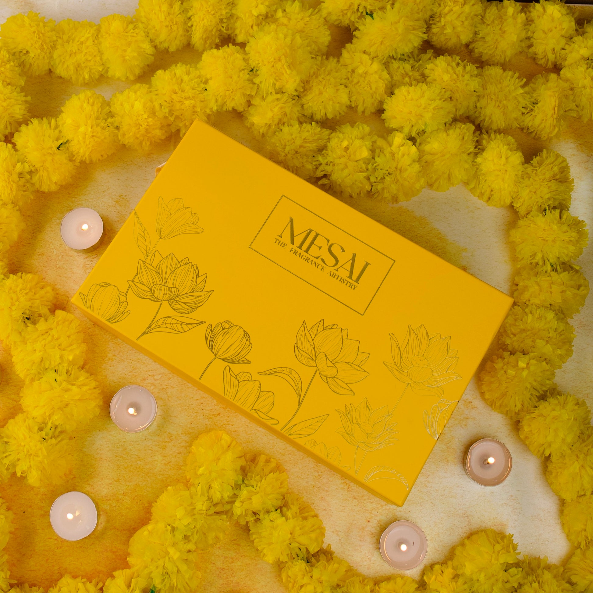 The Radiance Box #2